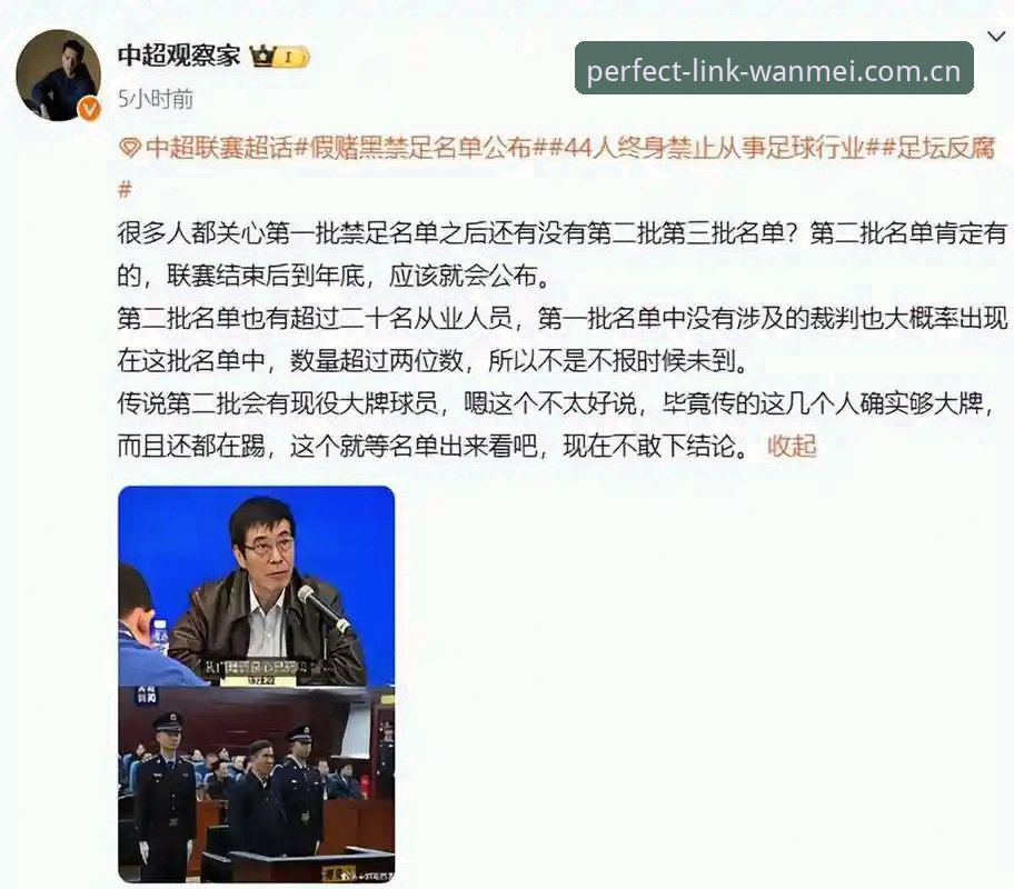 资深体育观察者分享：足协第三批禁足名单深度解读与实战分析